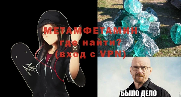 индика Бородино